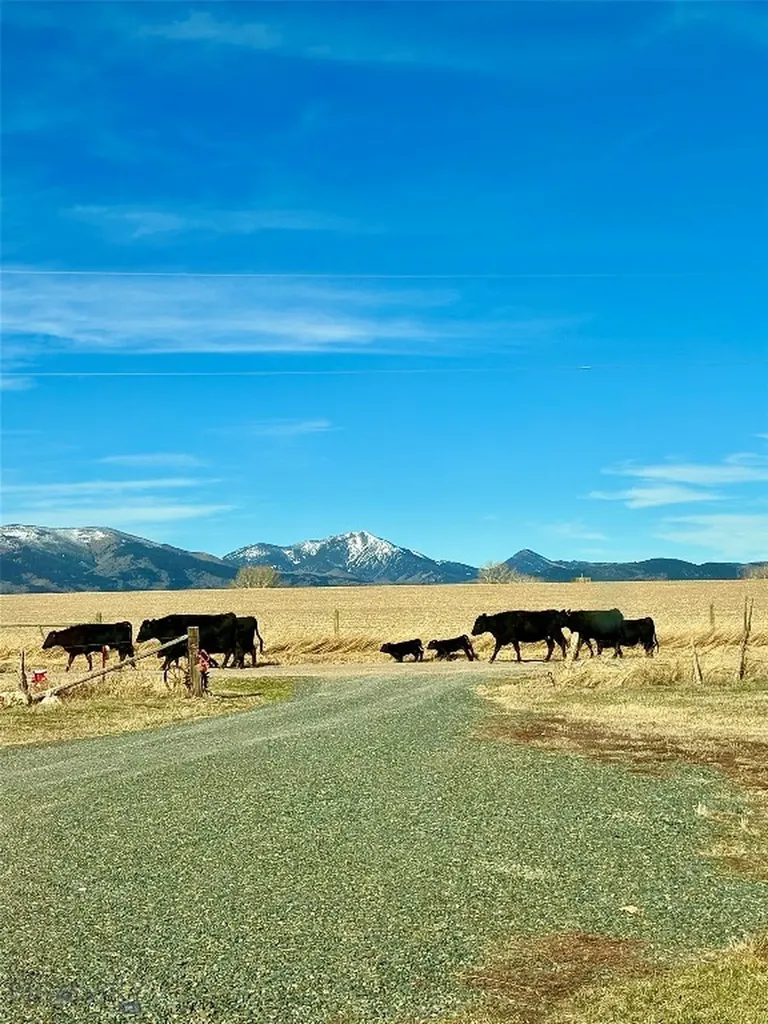 37 Norwegian Creek Road Harrison MT 59735