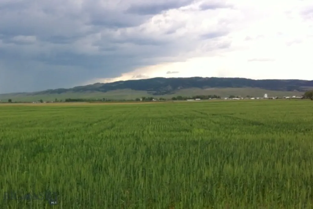 Nhn Luppold Road, White Sulphur Springs Other MT 59645