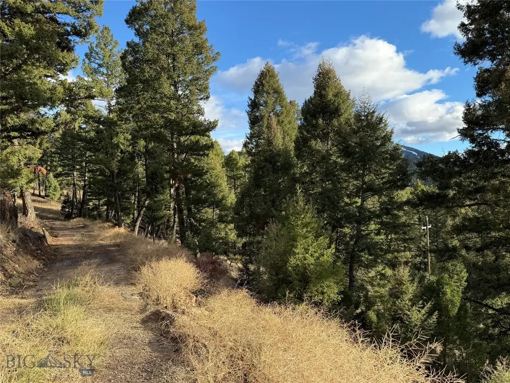 Lot 5 Scranton Lode Philipsburg MT 59858