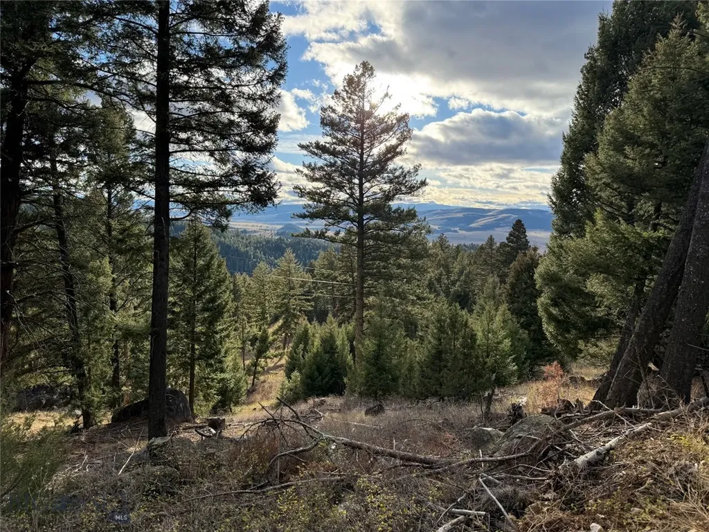 Lot 5 Scranton Lode Philipsburg MT 59858