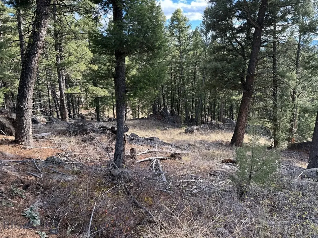 Lot 5 Scranton Lode Philipsburg MT 59858