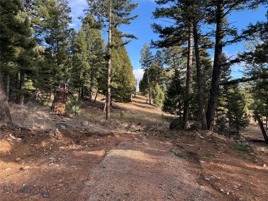Lot 5 Scranton Lode Philipsburg MT 59858