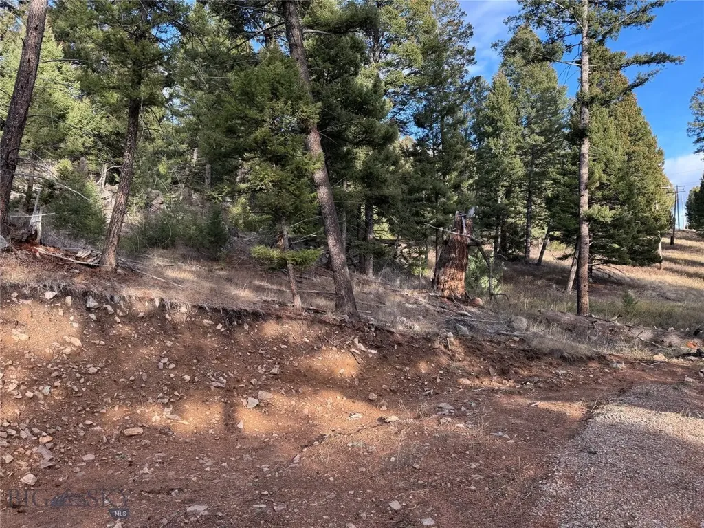 Lot 5 Scranton Lode Philipsburg MT 59858