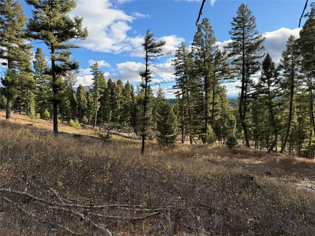 Lot 5 Scranton Lode Philipsburg MT 59858