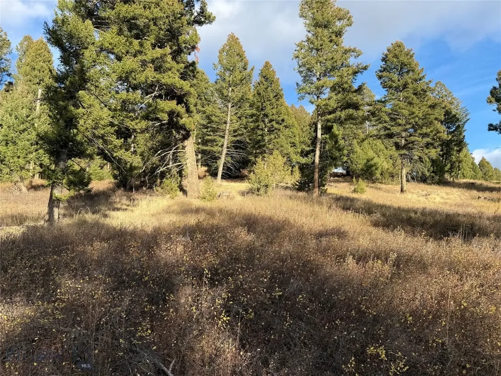 Lot 5 Scranton Lode Philipsburg MT 59858