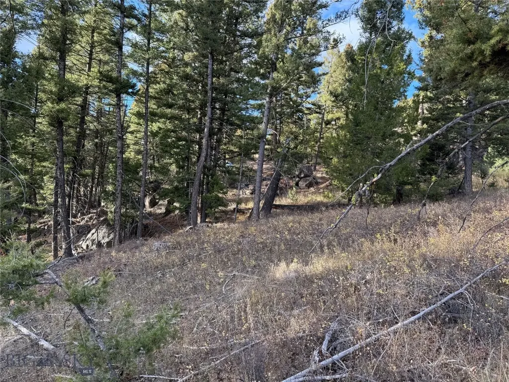 Lot 5 Scranton Lode Philipsburg MT 59858