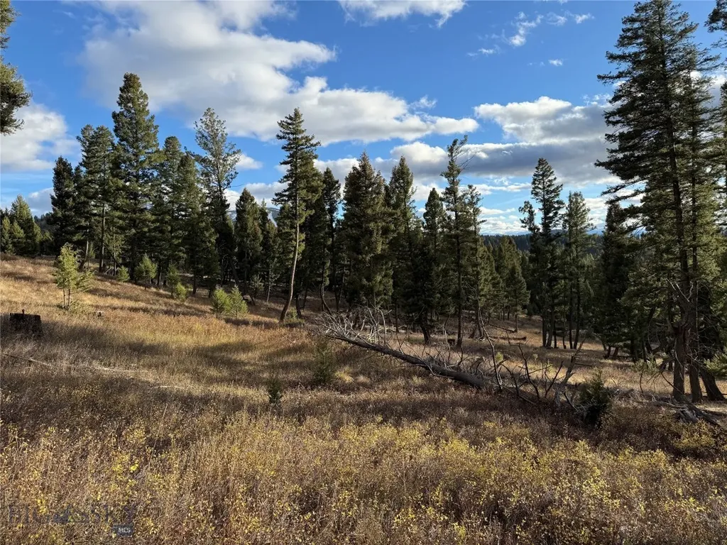 Lot 5 Scranton Lode Philipsburg MT 59858