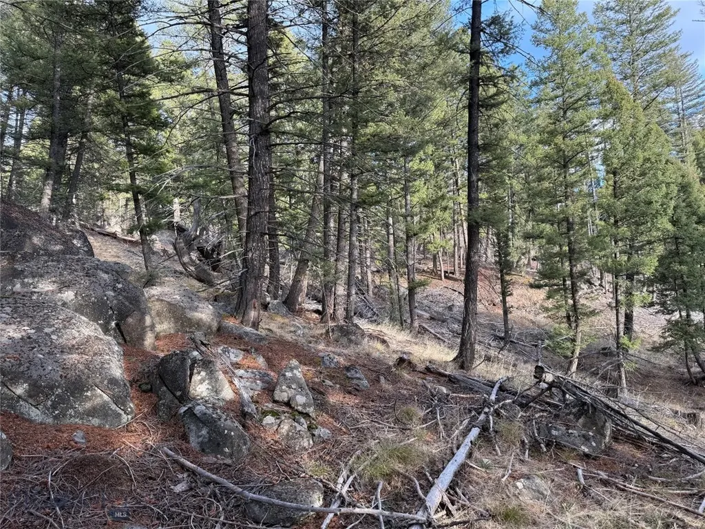 Lot 5 Scranton Lode Philipsburg MT 59858