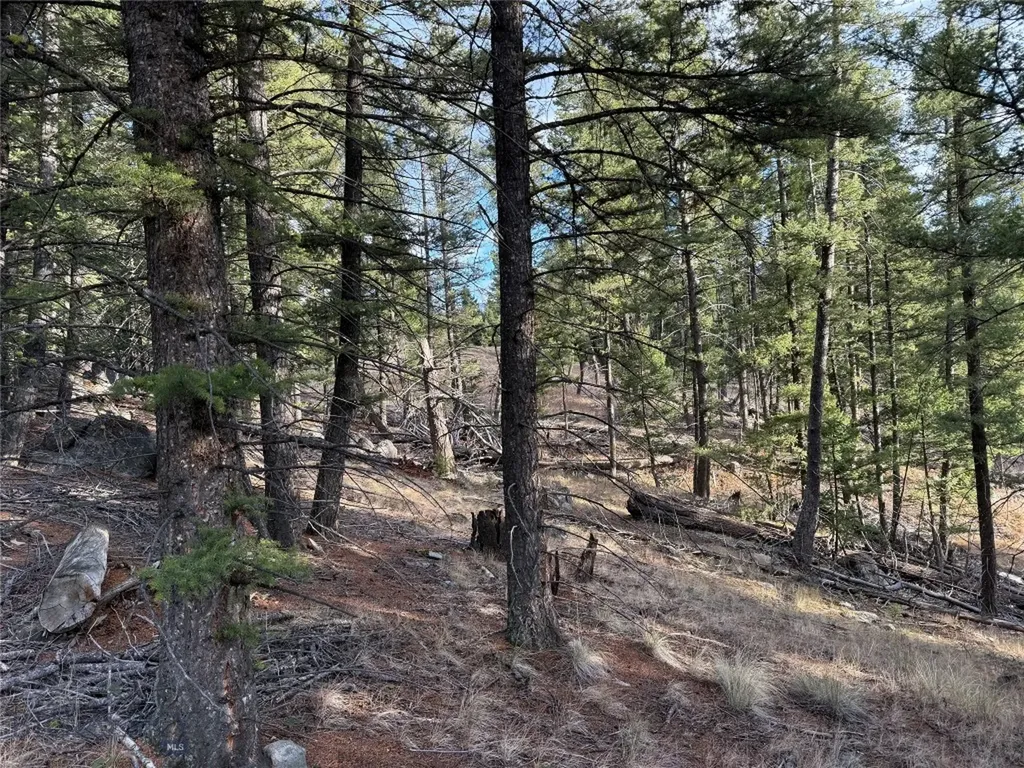 Lot 5 Scranton Lode Philipsburg MT 59858