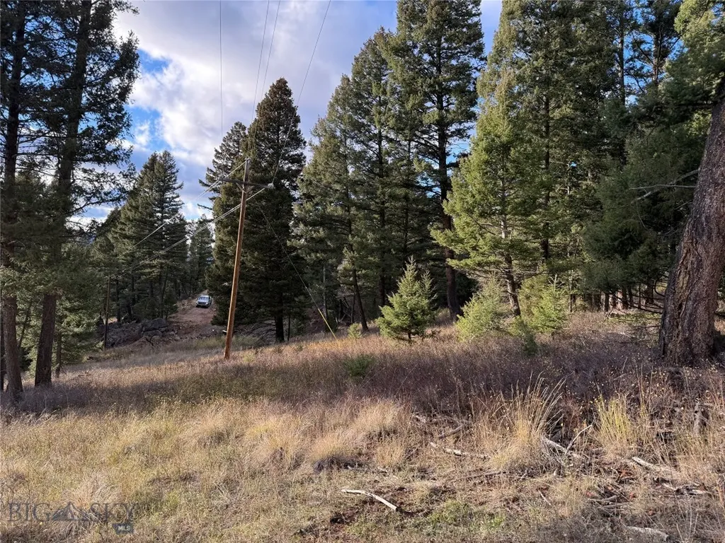 Lot 5 Scranton Lode Philipsburg MT 59858