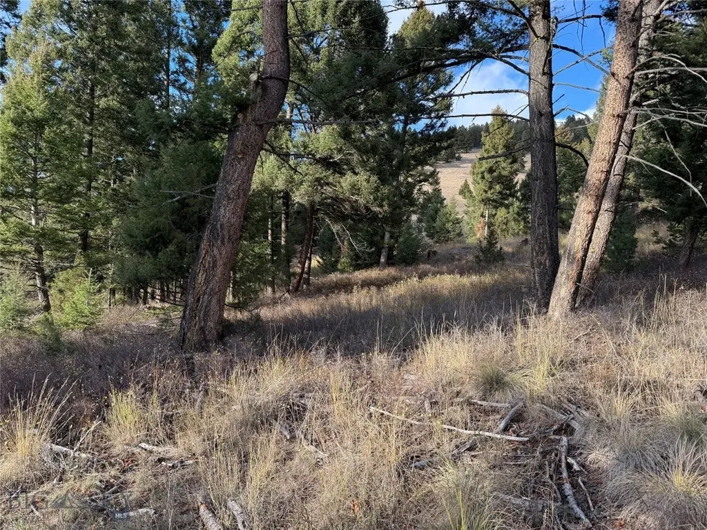 Lot 5 Scranton Lode Philipsburg MT 59858