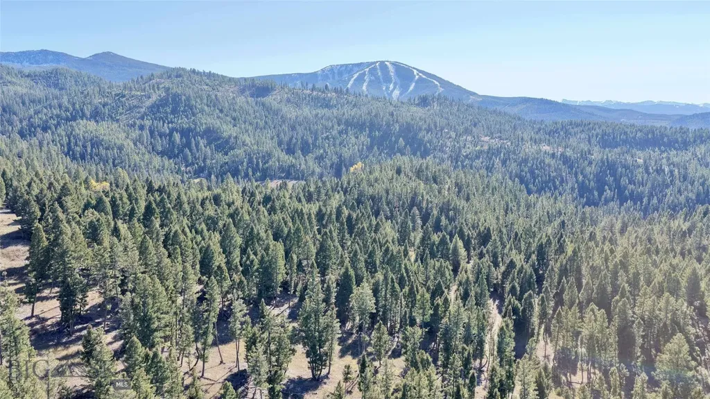 Lot 5 Scranton Lode Philipsburg MT 59858