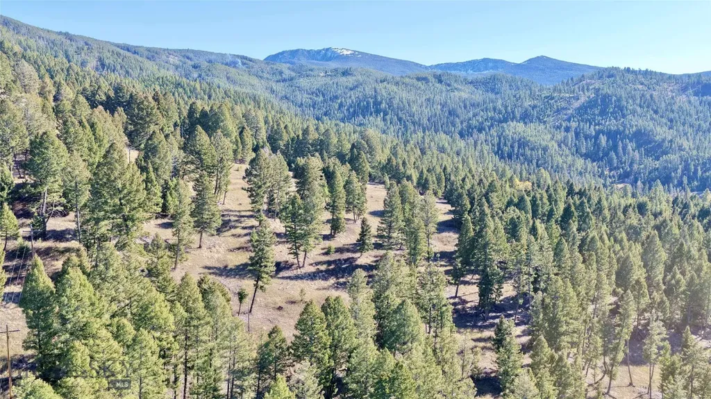 Lot 5 Scranton Lode Philipsburg MT 59858