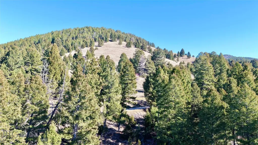 Lot 5 Scranton Lode Philipsburg MT 59858