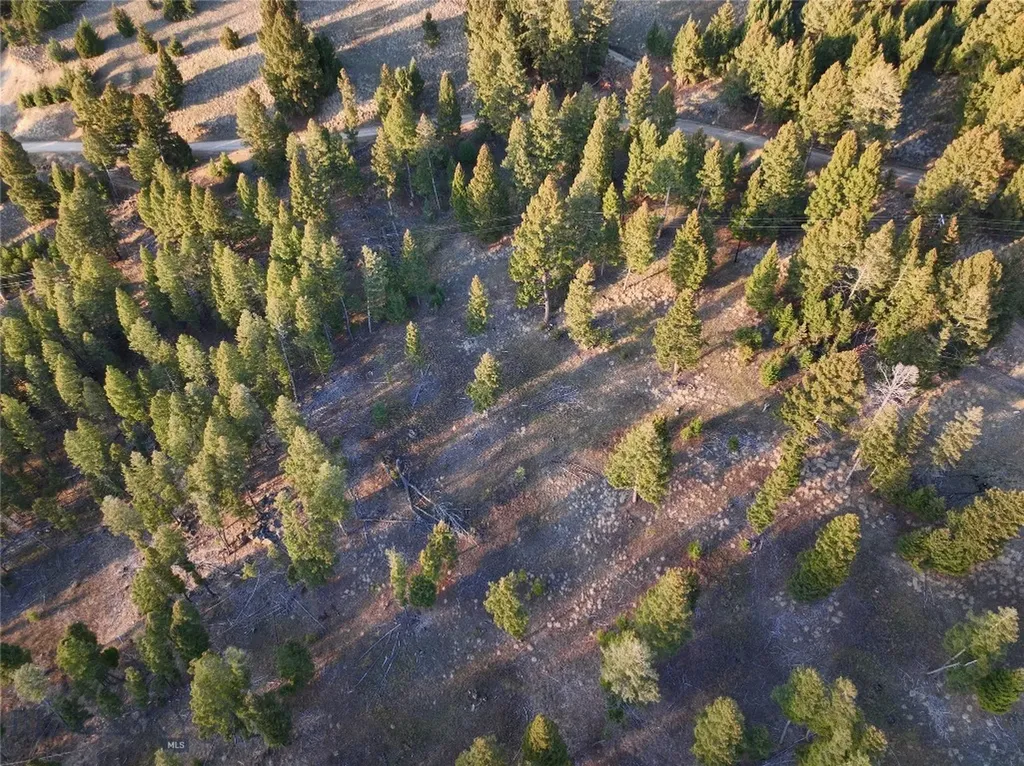 Lot 5 Scranton Lode Philipsburg MT 59858