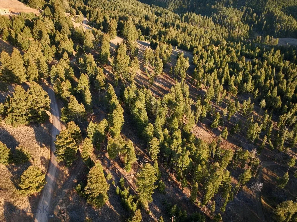 Lot 5 Scranton Lode Philipsburg MT 59858