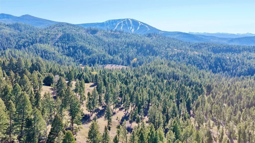Lot 5 Scranton Lode Philipsburg MT 59858