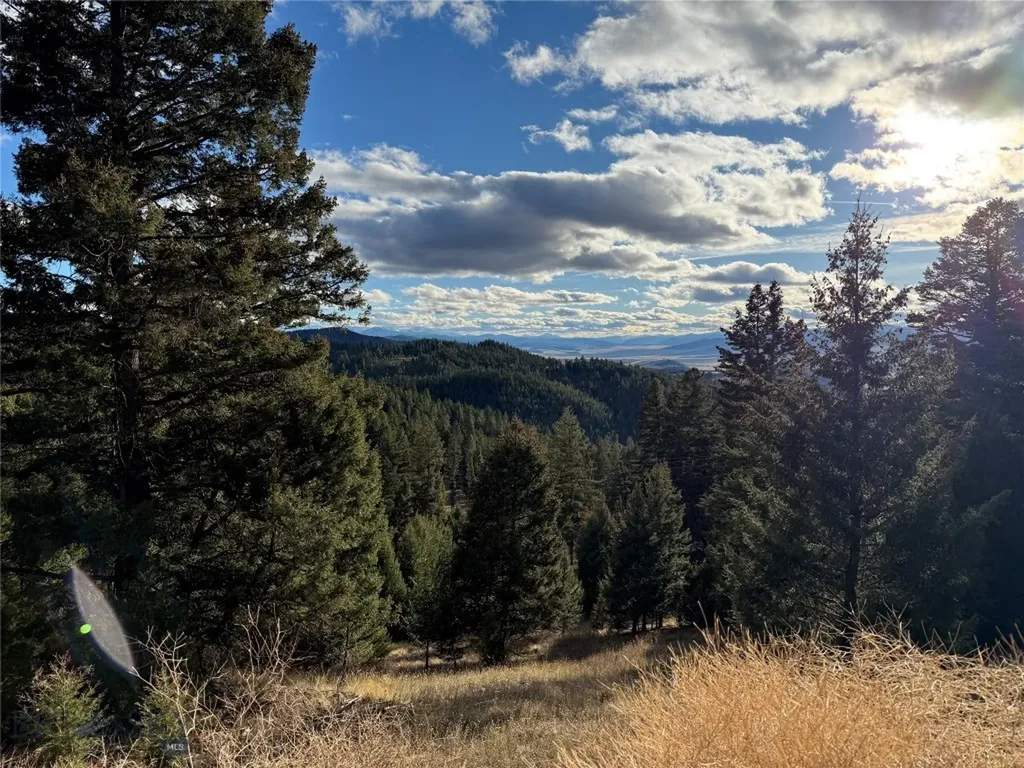 Lot 5 Scranton Lode Philipsburg MT 59858