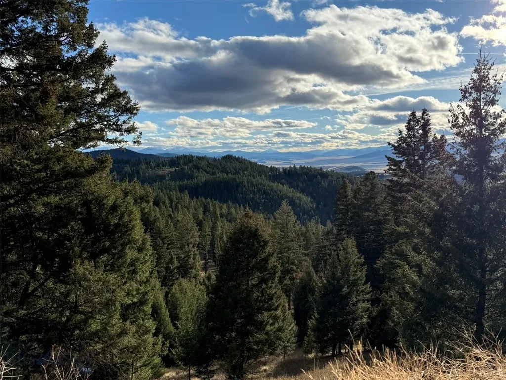 Lot 5 Scranton Lode Philipsburg MT 59858