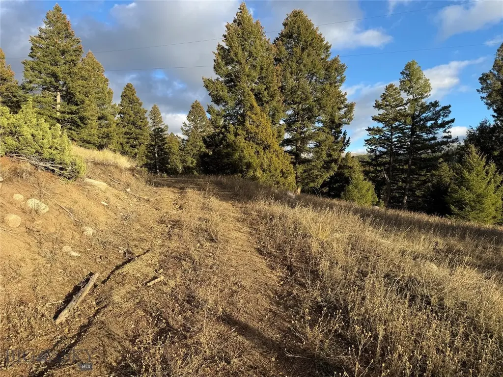 Lot 4 Scranton Lode Philipsburg MT 59858
