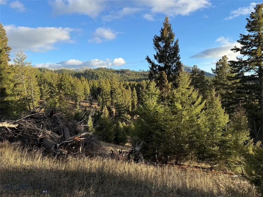 Lot 4 Scranton Lode Philipsburg MT 59858