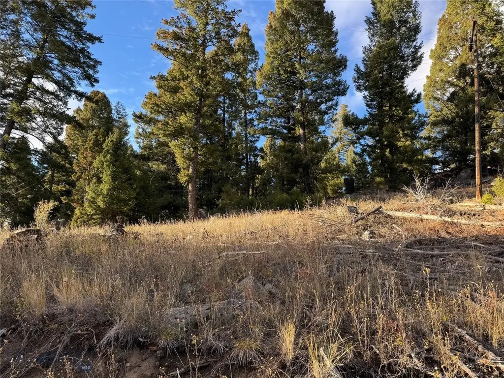 Lot 4 Scranton Lode Philipsburg MT 59858