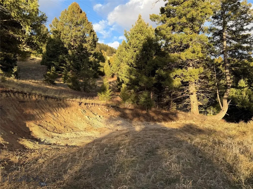 Lot 4 Scranton Lode Philipsburg MT 59858