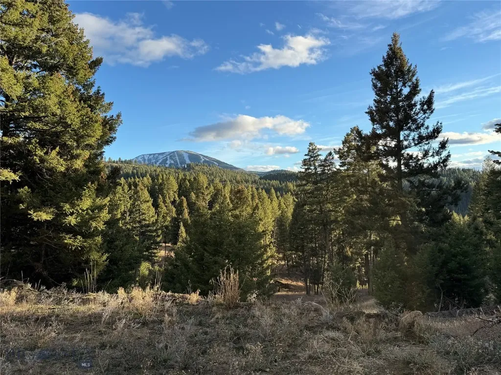 Lot 4 Scranton Lode Philipsburg MT 59858