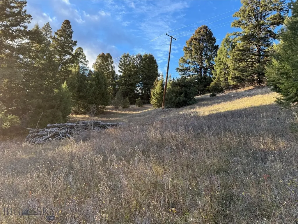 Lot 4 Scranton Lode Philipsburg MT 59858
