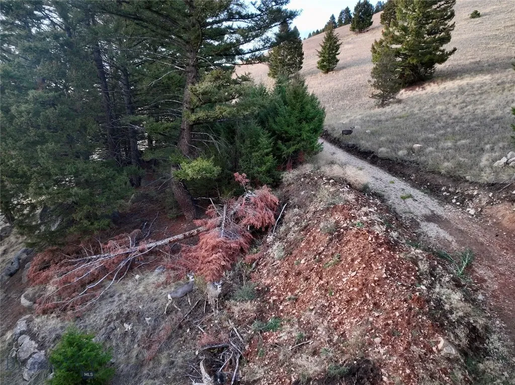 Lot 4 Scranton Lode Philipsburg MT 59858