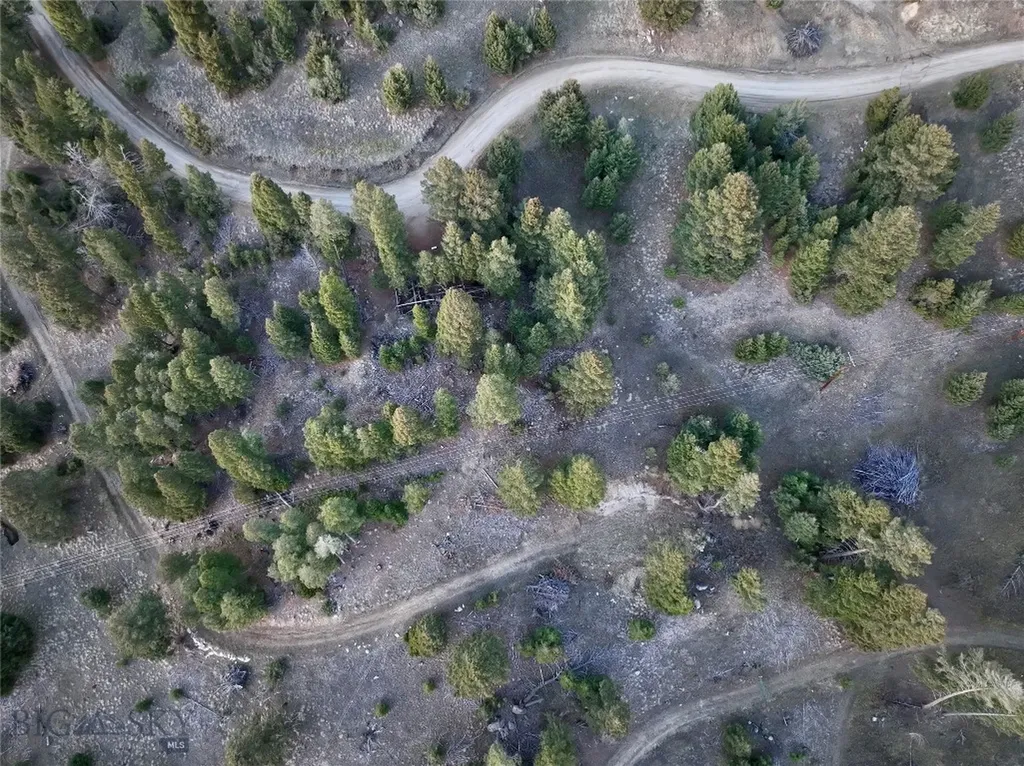 Lot 4 Scranton Lode Philipsburg MT 59858