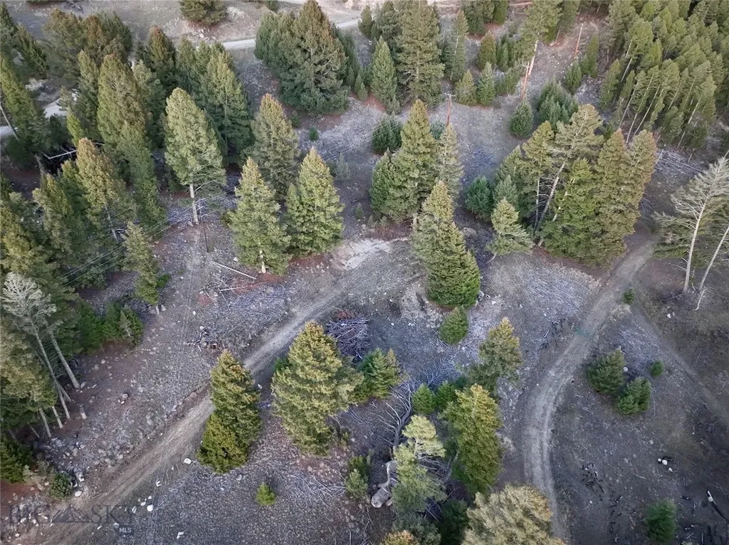 Lot 4 Scranton Lode Philipsburg MT 59858