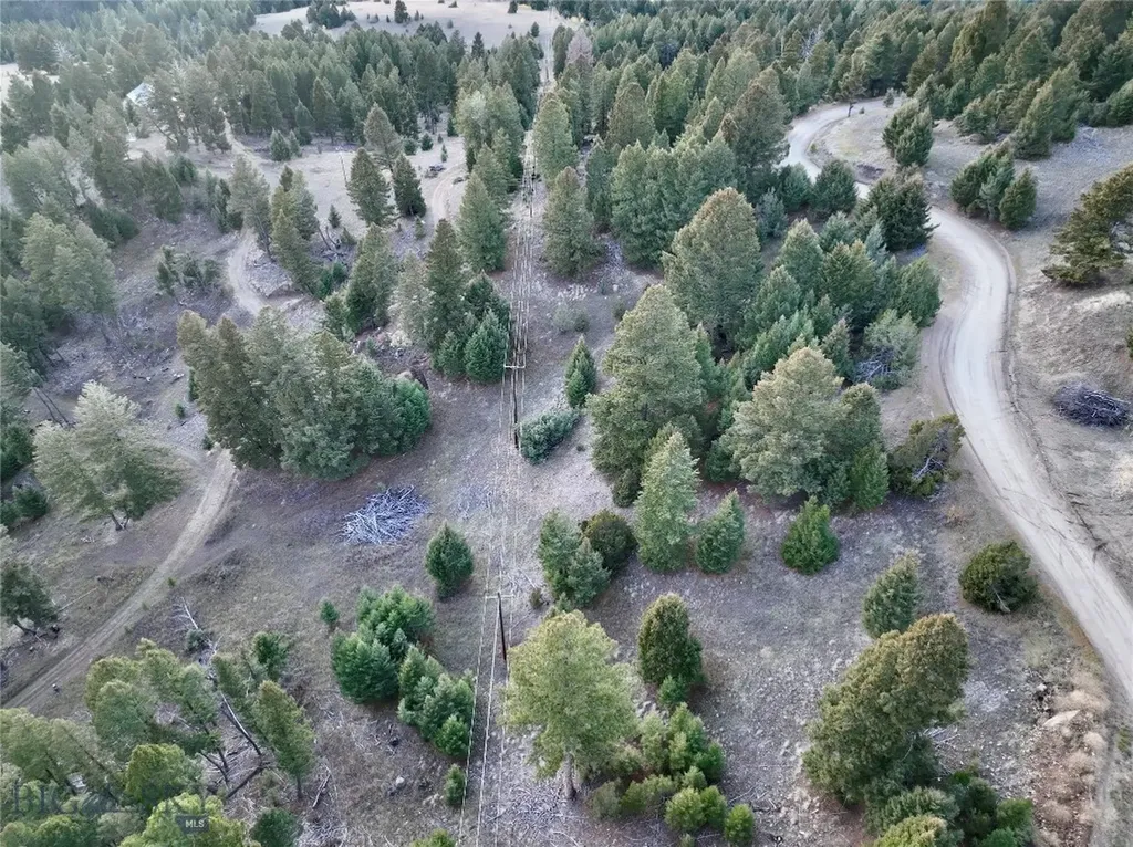 Lot 4 Scranton Lode Philipsburg MT 59858