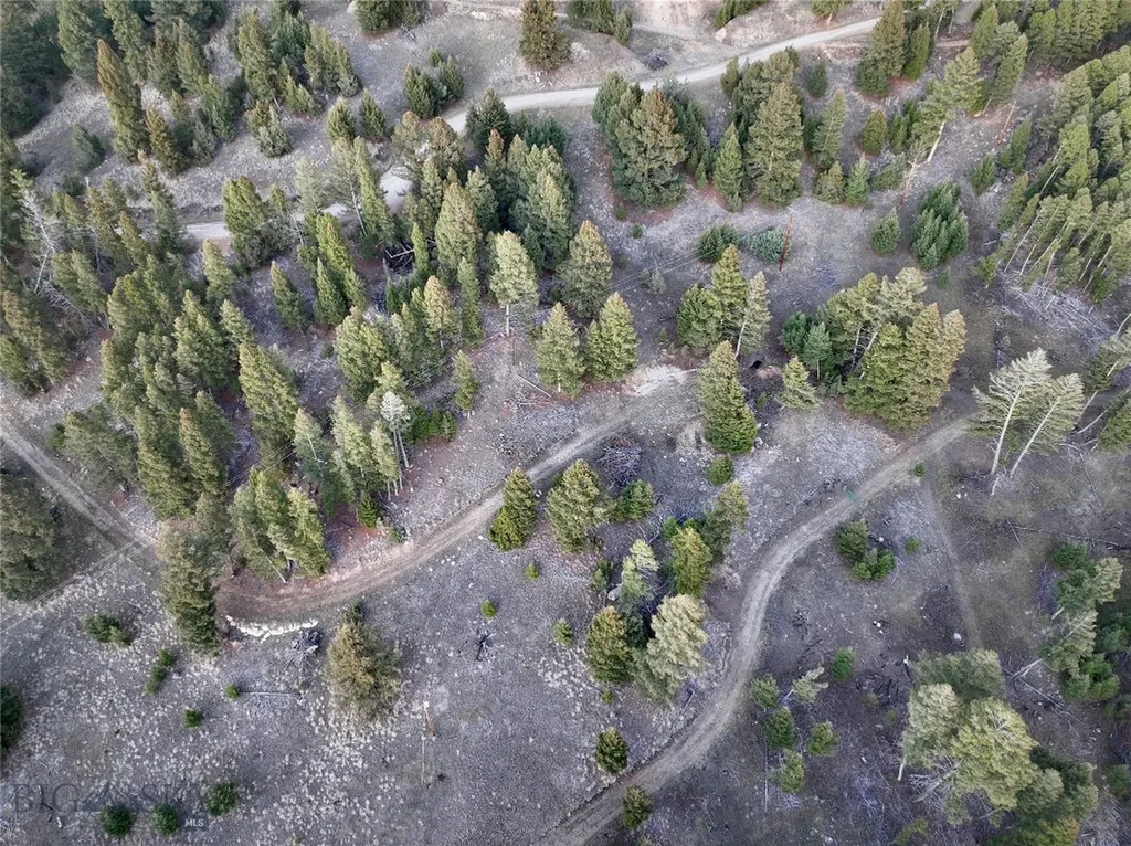 Lot 4 Scranton Lode Philipsburg MT 59858