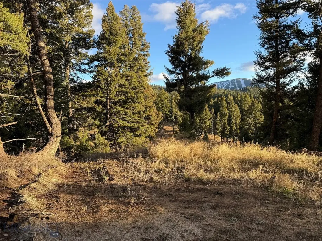 Lot 4 Scranton Lode Philipsburg MT 59858