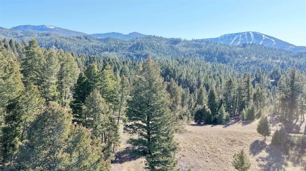 Lot 4 Scranton Lode Philipsburg MT 59858