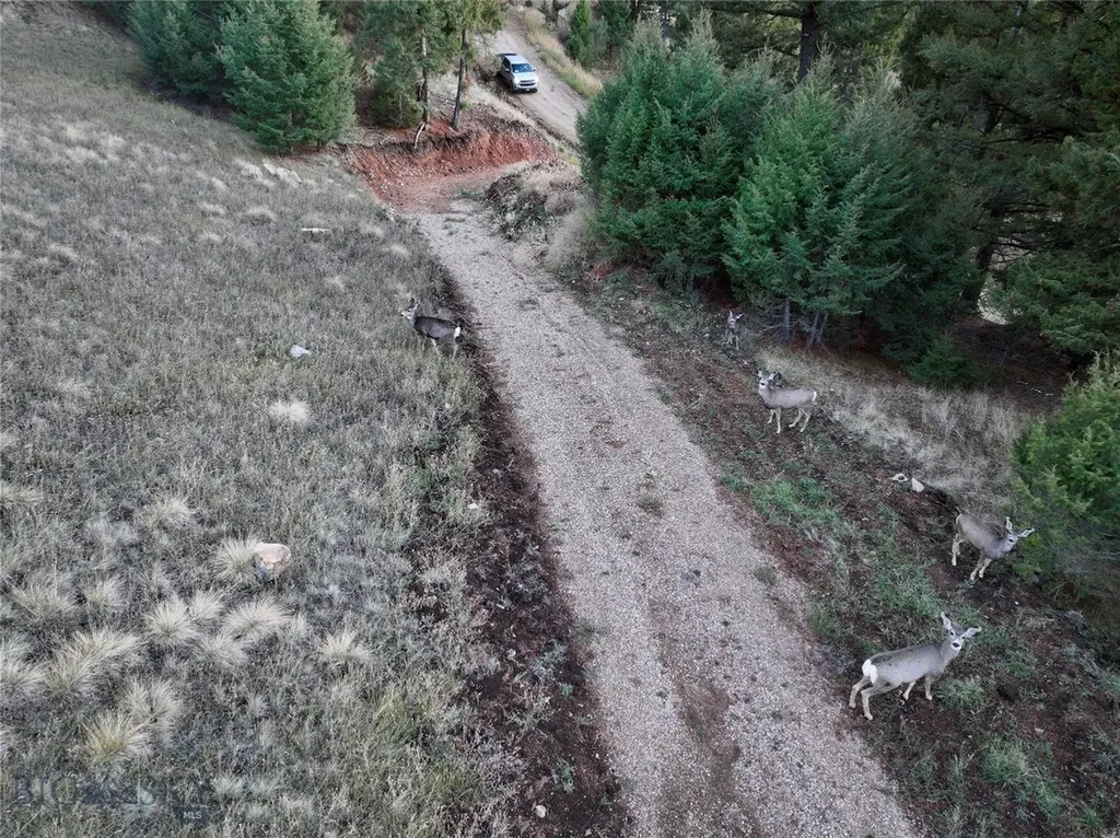 Lot 4 Scranton Lode Philipsburg MT 59858