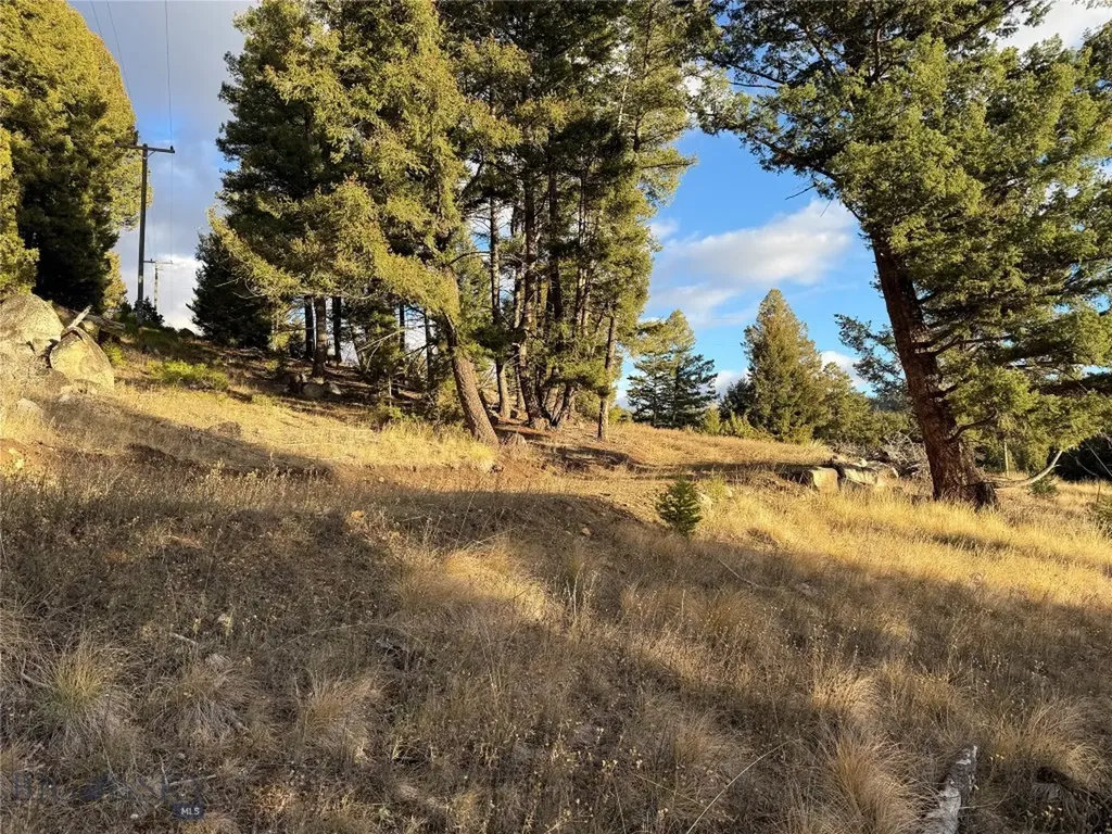 Lot 4 Scranton Lode Philipsburg MT 59858