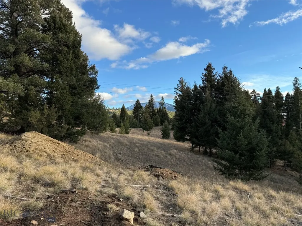 Lot 3 Scranton Lode Philipsburg MT 59858