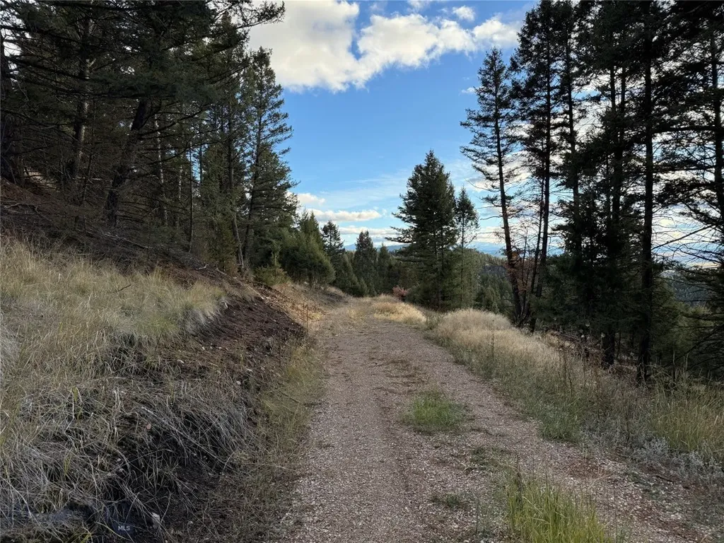 Lot 3 Scranton Lode Philipsburg MT 59858