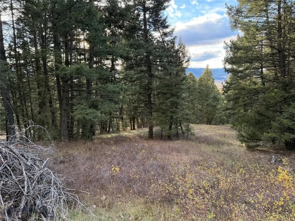 Lot 3 Scranton Lode Philipsburg MT 59858