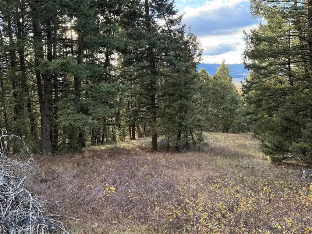 Lot 3 Scranton Lode Philipsburg MT 59858