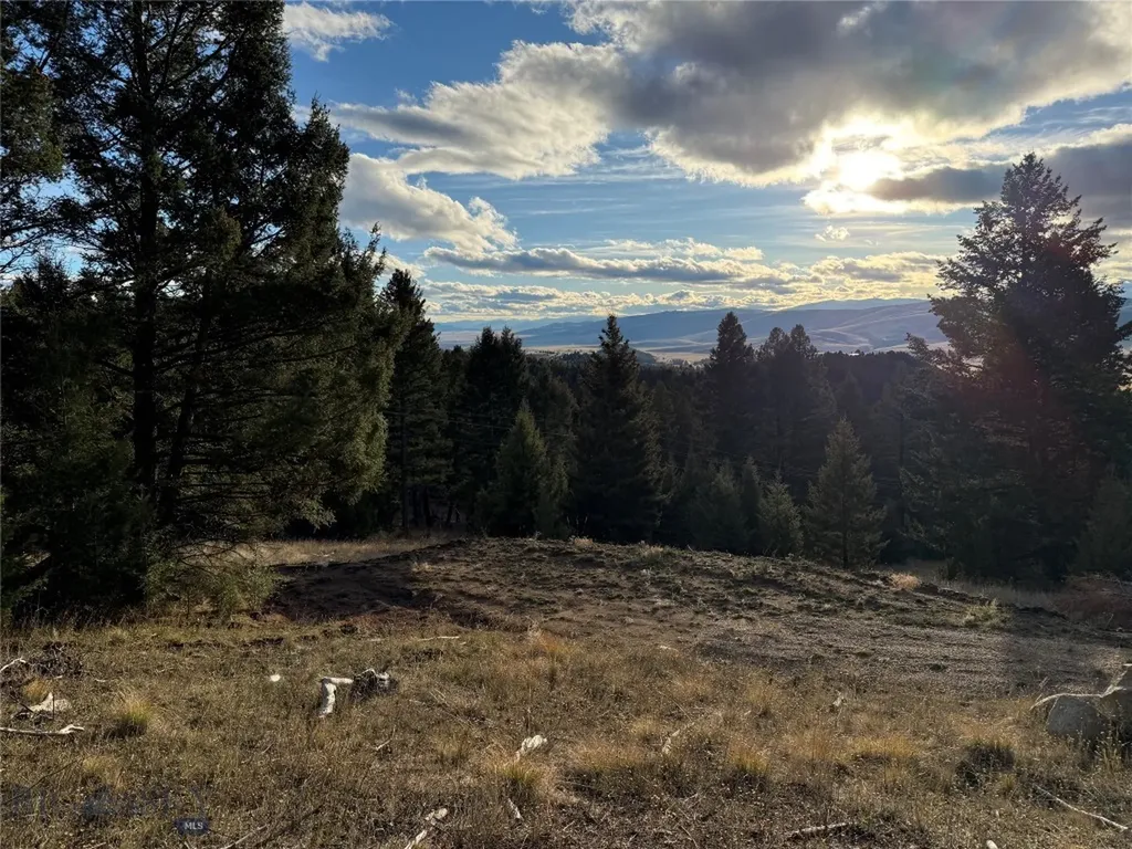Lot 3 Scranton Lode Philipsburg MT 59858
