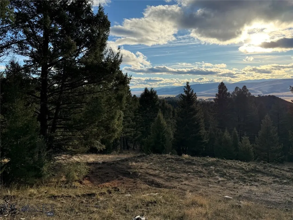 Lot 3 Scranton Lode Philipsburg MT 59858