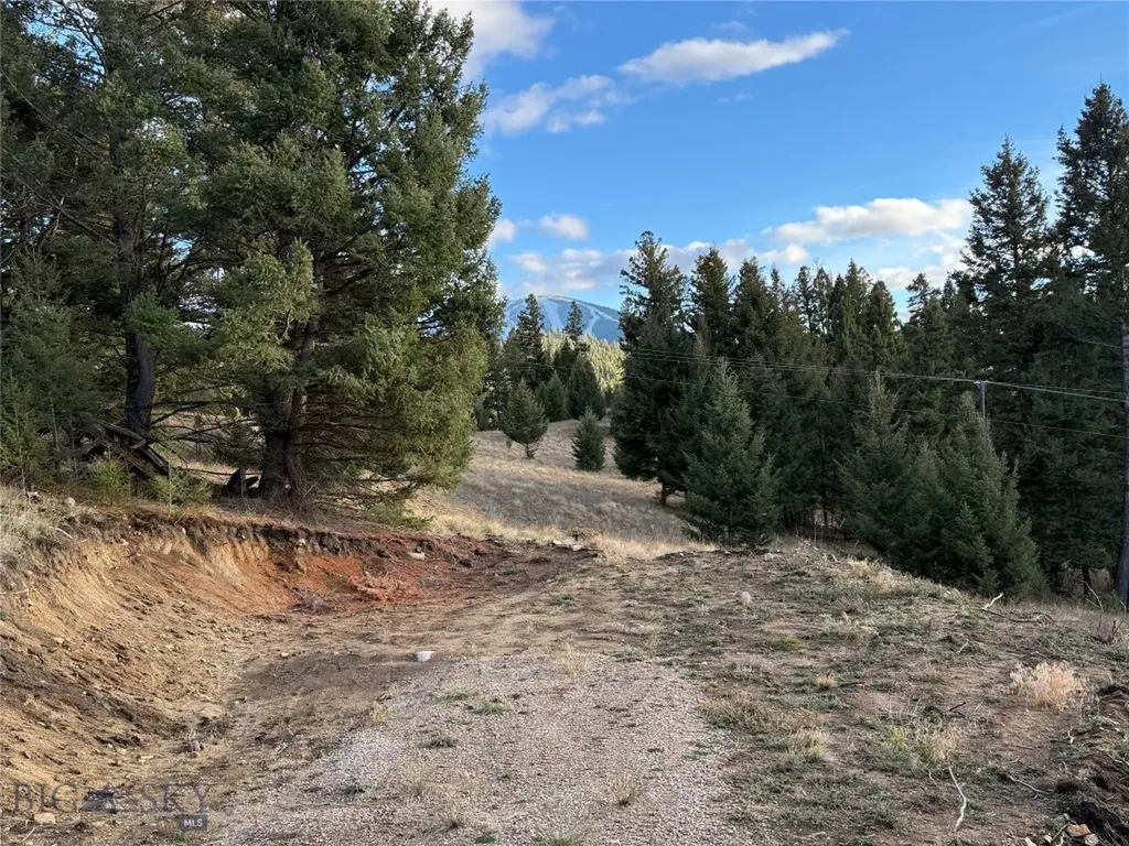 Lot 3 Scranton Lode Philipsburg MT 59858