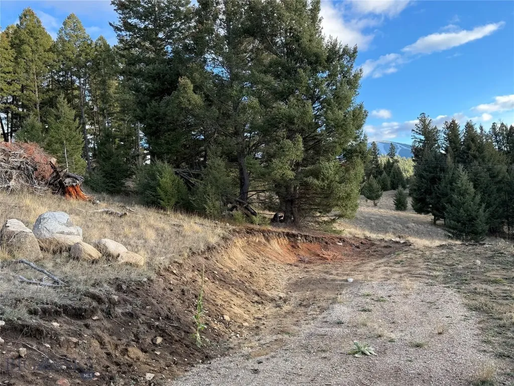 Lot 3 Scranton Lode Philipsburg MT 59858