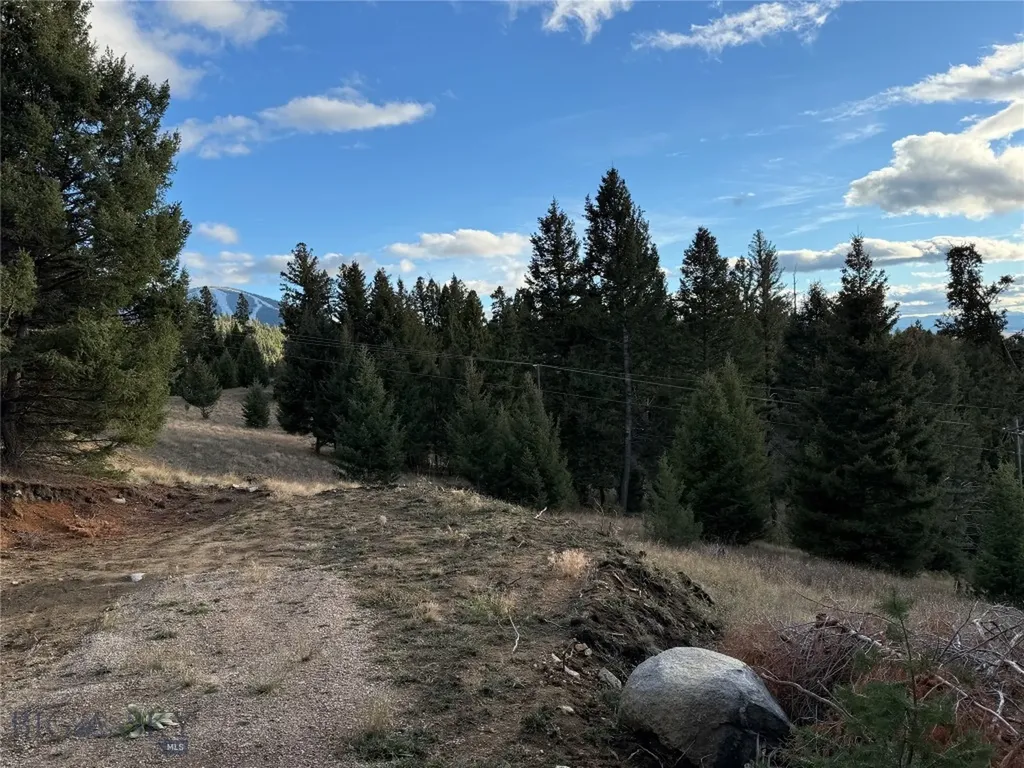 Lot 3 Scranton Lode Philipsburg MT 59858