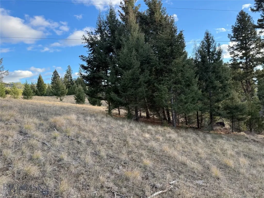 Lot 3 Scranton Lode Philipsburg MT 59858