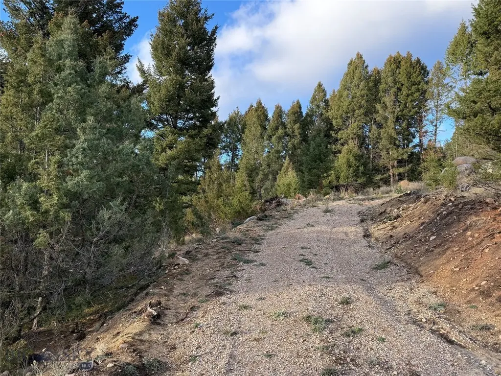 Lot 3 Scranton Lode Philipsburg MT 59858