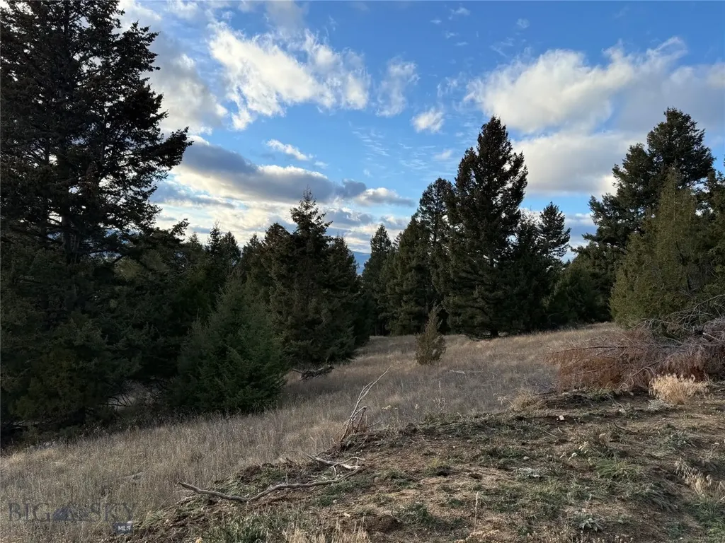Lot 3 Scranton Lode Philipsburg MT 59858